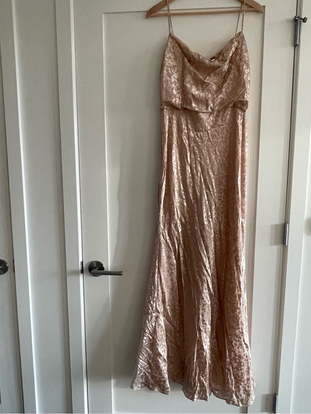 Jenny Yoo Collection Women's Slip Maxi Dress in Blush - Elegant Cowl Neck